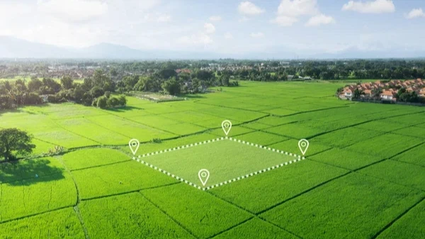 Arsa Alırken Dikkat Edilmesi Gerekenler